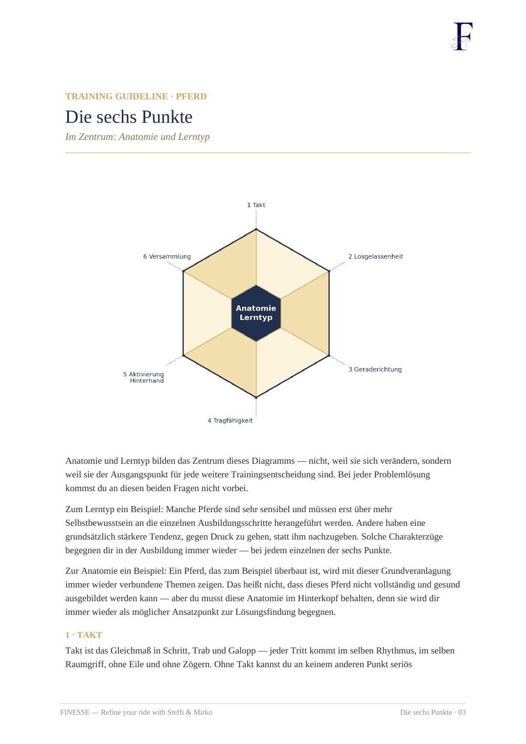Die sechs Punkte — Anatomie im Zentrum
